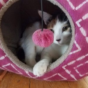 Meet your Posher, Jenny